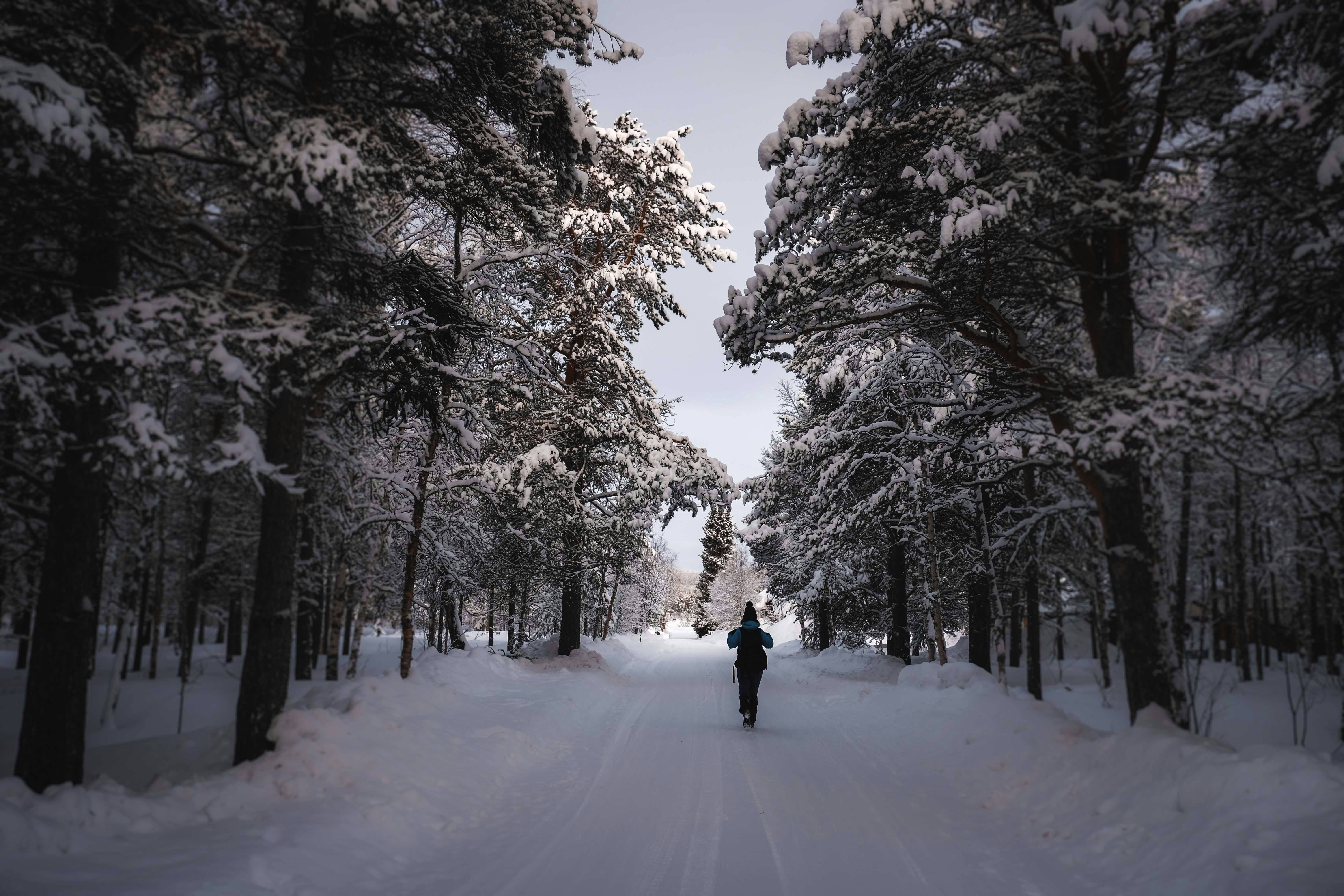 person in black jacket walking on snow covered pathway between trees during daytime